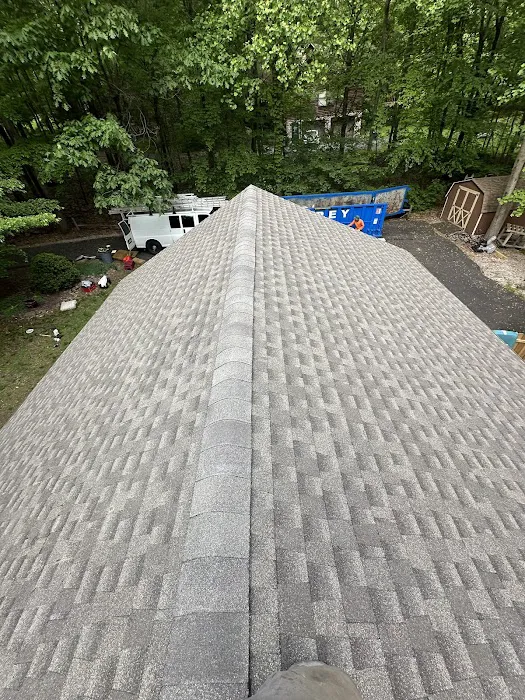 Dsk Roofing Picture 5