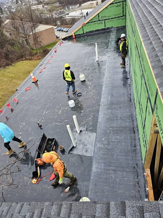 Niva Group Picture 7