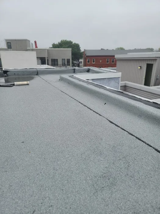 Niva Group Picture 9