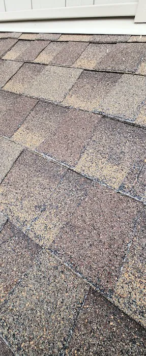 Asaph Roofing Contractors Picture 1