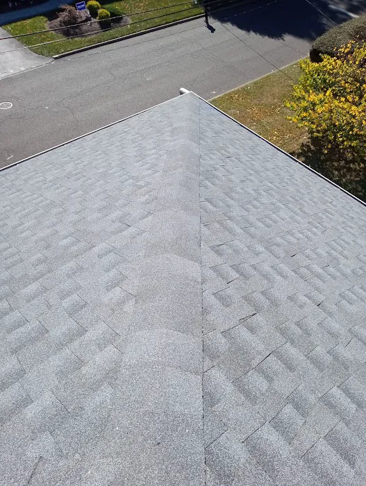 Asaph Roofing Contractors Picture 2