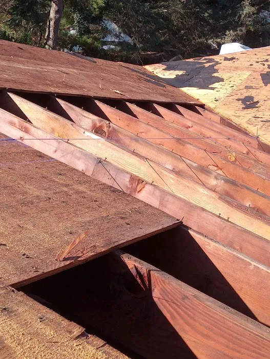 Asaph Roofing Contractors Picture 6