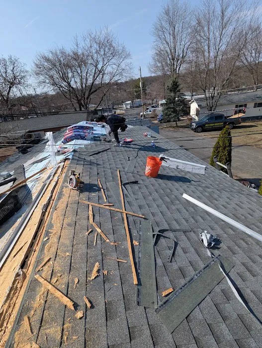 Restore Roofing Picture 5