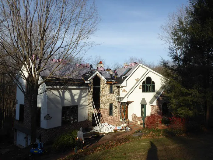 Vera Roofing Picture 8
