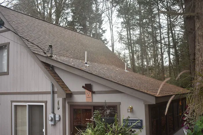 ShingleMe Roofing Picture 5