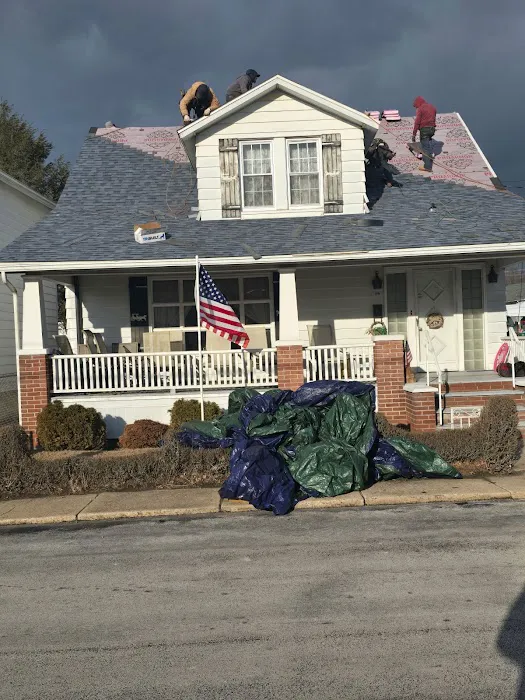 The Roof Brothers Picture 7