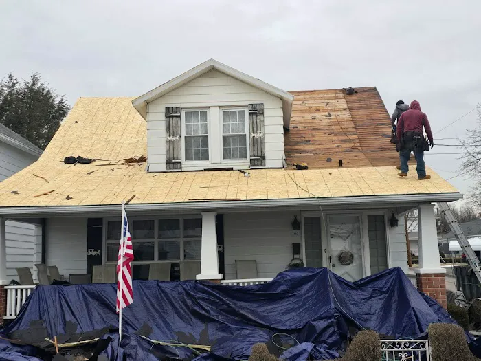 The Roof Brothers Picture 4