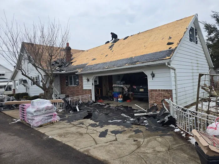 The Roof Brothers Picture 6