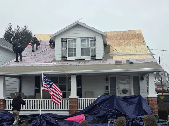 The Roof Brothers Picture 5