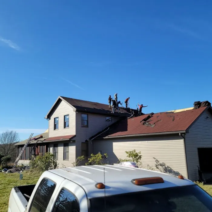 The Roof Brothers Picture 9