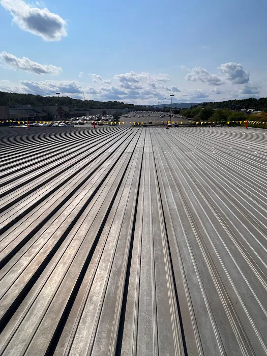 Anthracite Roofing Systems Picture 5