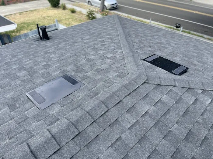 Fuller Roof & Leak Repairs Picture 3