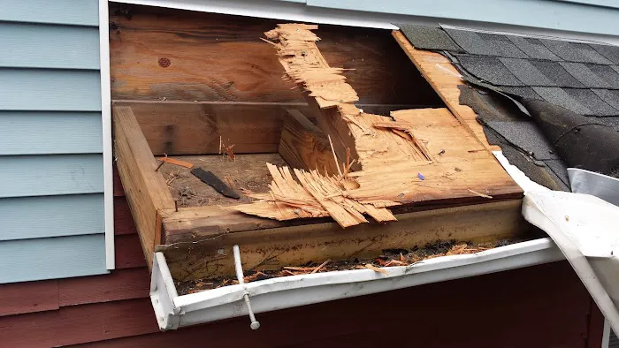 Stratos Roofing Company. Picture 4