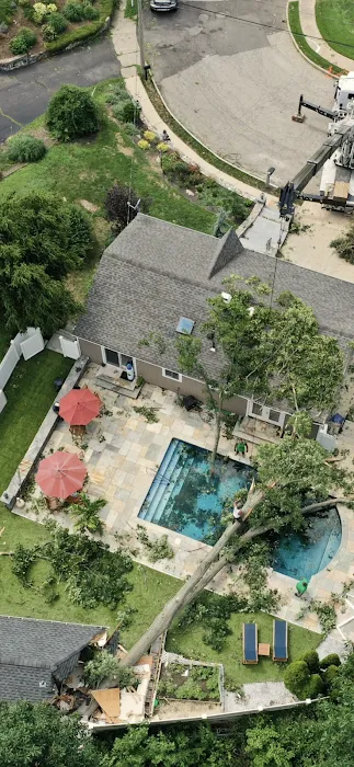 Apex Exteriors LLC Picture 10