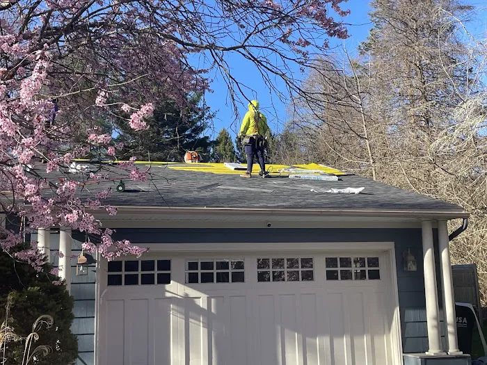 PAOLINO ROOFING Picture 2