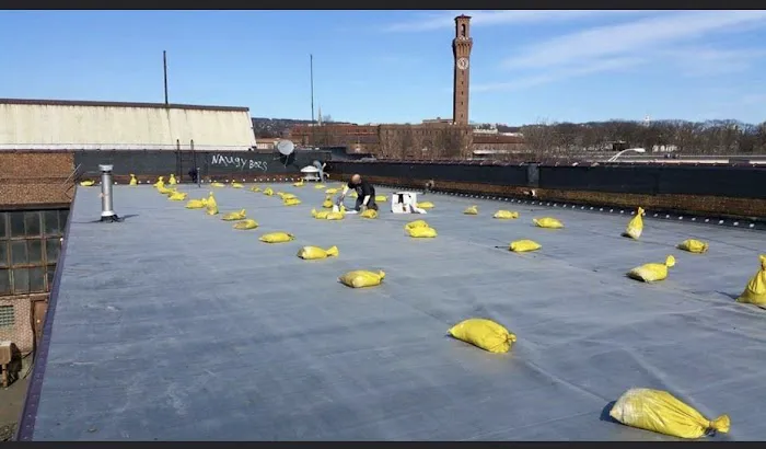 PAOLINO ROOFING Picture 4