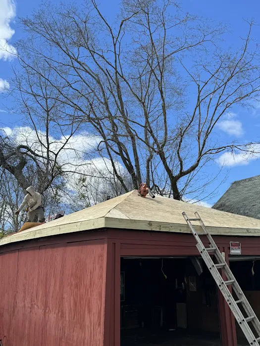 M2J construction LLC Picture 10