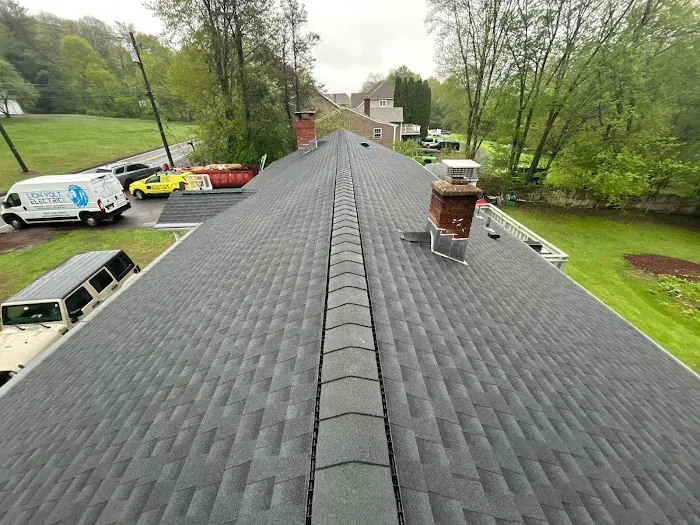 ELITEX ROOFING Picture 1