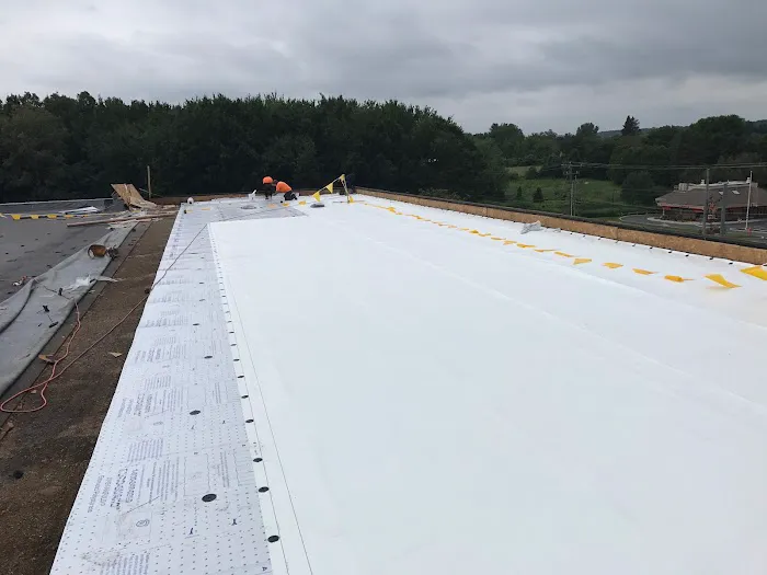 4 Elements Restoration LLC Picture 1