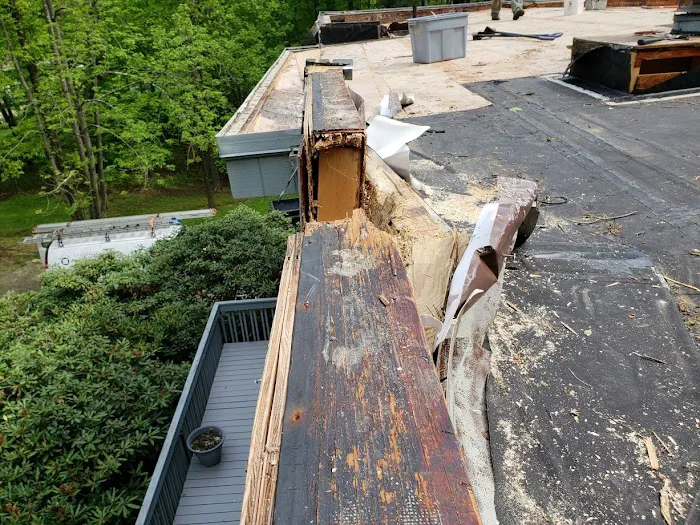 4 Elements Restoration LLC Picture 10