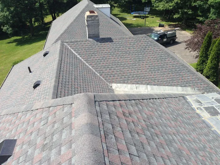 Busy Bee Roofing LLC Picture 1