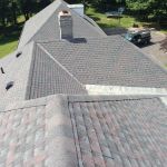 Busy Bee Roofing LLC
