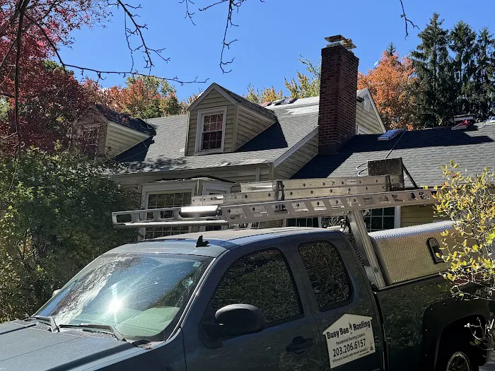 Busy Bee Roofing LLC Picture 9