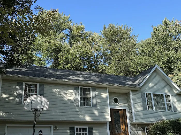 Busy Bee Roofing LLC Picture 6