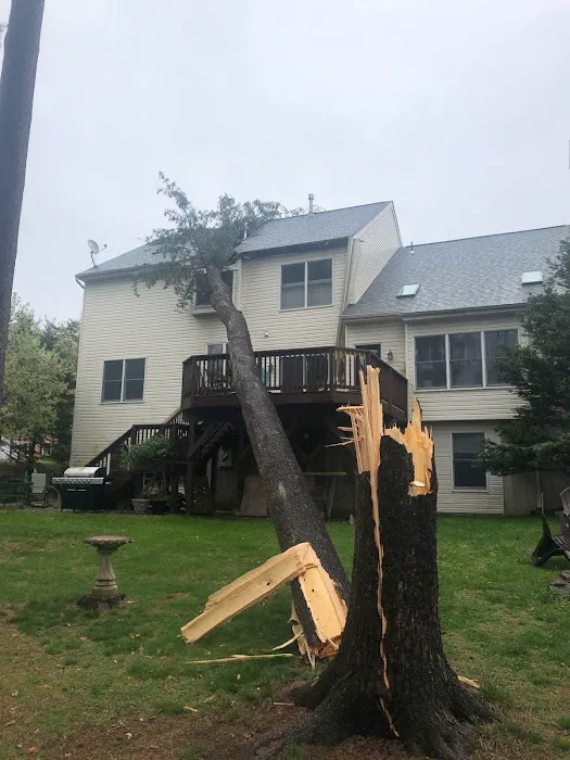 Tema Roofing and Siding Picture 2