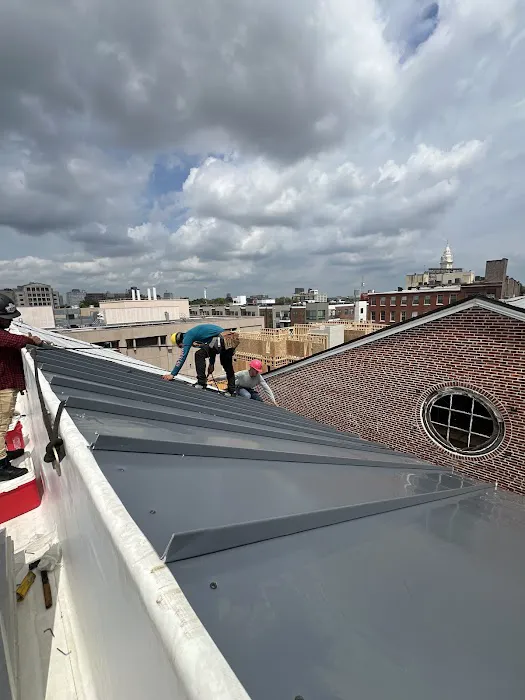 Trama Roofing Picture 5