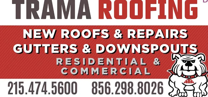 Trama Roofing Picture 3