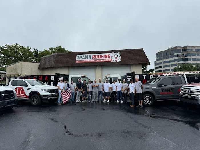 Trama Roofing Picture 6