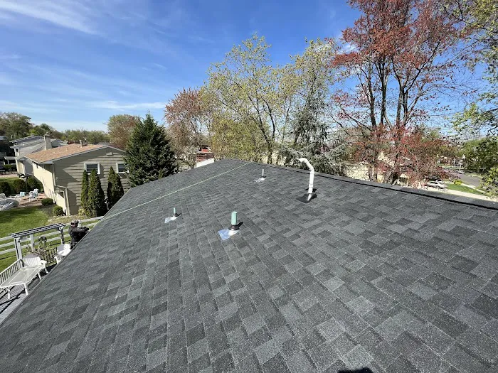 Trama Roofing Picture 7