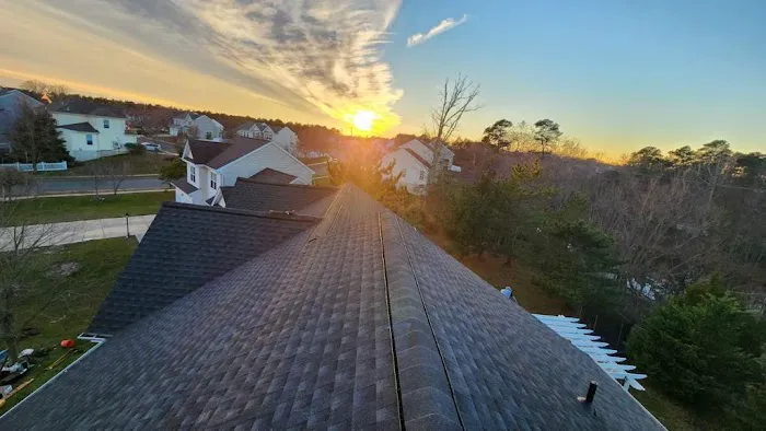 Green Roofing and Construction Picture 4