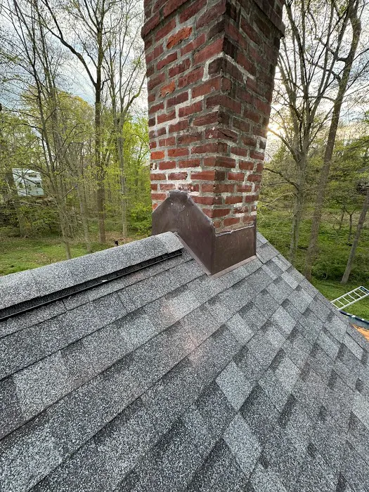 Green Roofing and Construction Picture 8