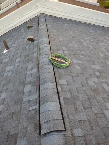 Green Roofing and Construction Picture 1