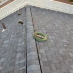 Green Roofing and Construction