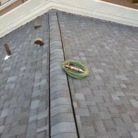 Green Roofing and Construction ico