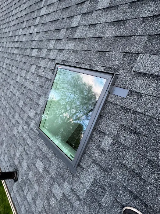 Green Roofing and Construction Picture 9