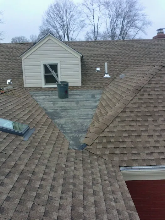 access roofing Picture 3
