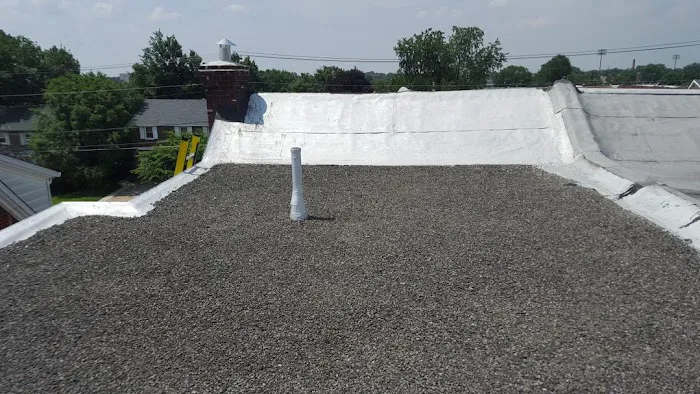 Argentina and Son Roofing Picture 6