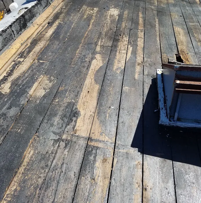 Argentina and Son Roofing Picture 5