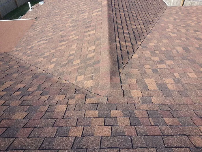 Argentina and Son Roofing Picture 2