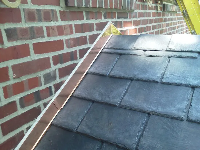 Argentina and Son Roofing Picture 1