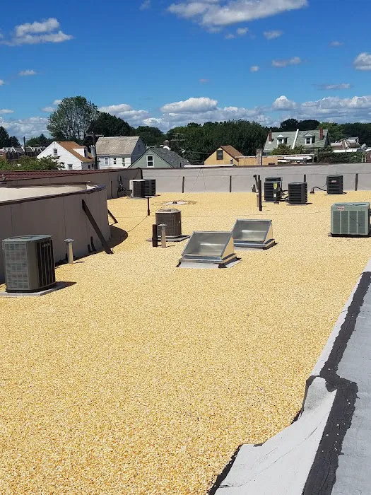 Argentina and Son Roofing Picture 7