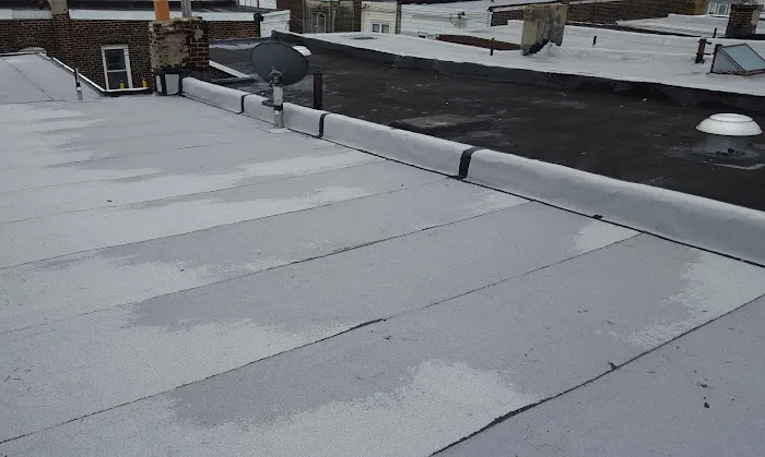 Argentina and Son Roofing Picture 8