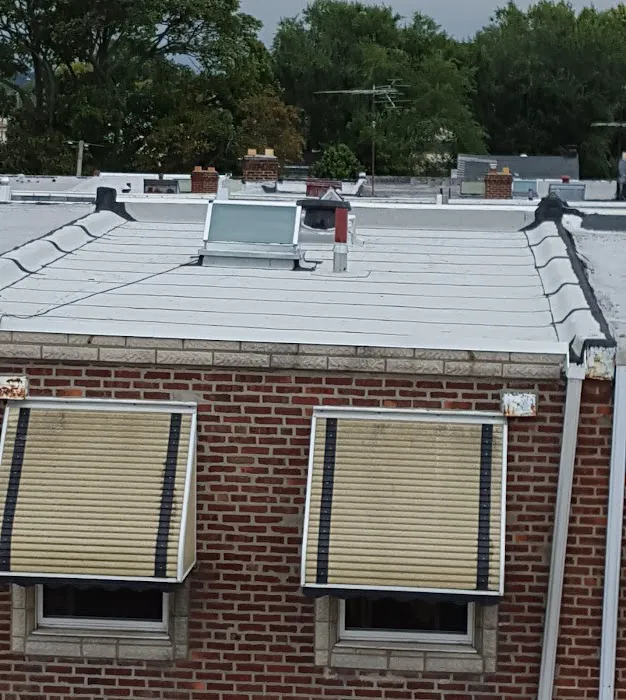 Argentina and Son Roofing Picture 10