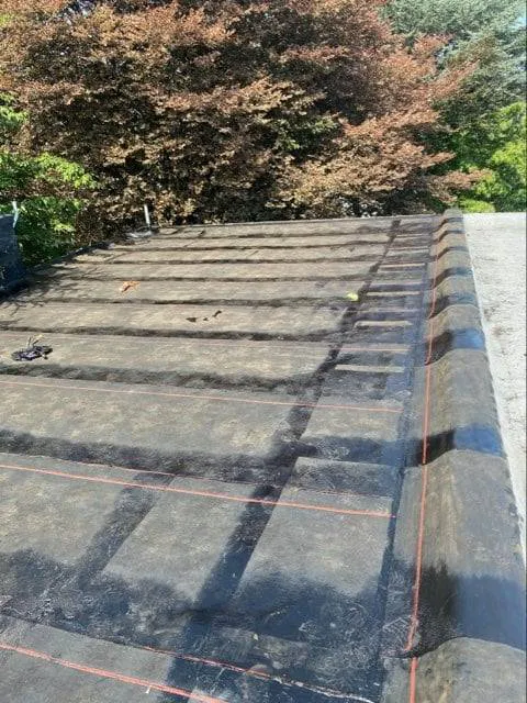 Philadelphia City Roofing Picture 1