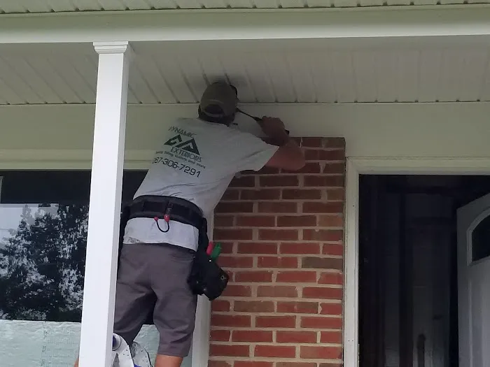 Dynamic Exteriors llc Picture 1