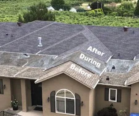 Roof Revivers